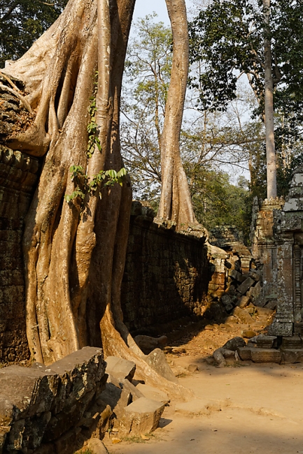 Ta Phrom et environs-116